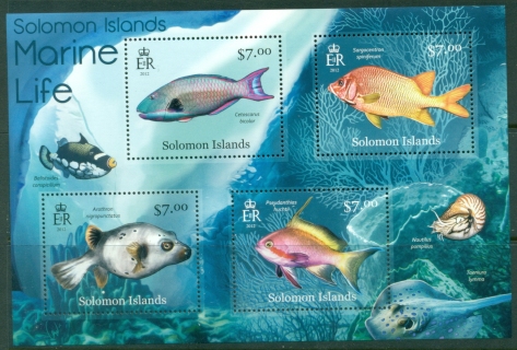 Solomon-Is-2013-Marine-Life-Fishes-MS-MUH