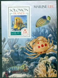 Solomon-Is-2014-Marine-Life-Fish-Crab-MS-MUH