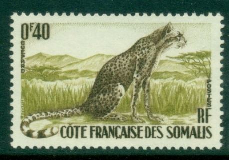 Somali Coast 1958 Wildlife, 40f leopard