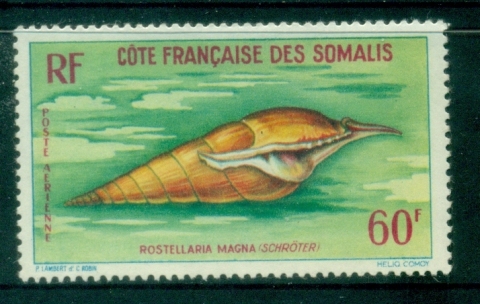 Somali Coast 1962 Marine Life, Shells 60f