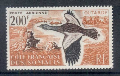 Somali-Coast-1960-Bird