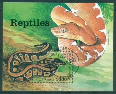 Somalia-1998-Reptiles