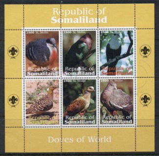 Somaliland-2010c-jpg-Birds.jpg
