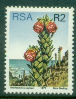 South-Africa-1977-Flowers-Proteas-R2-MUH