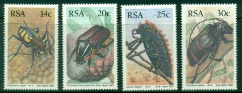 South-Africa-1987-Insects-Beetles-MLH