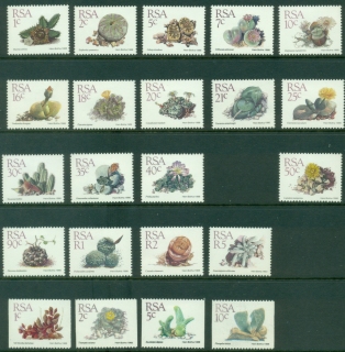 South-Africa-1988-93-Succulents