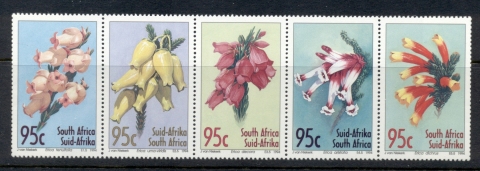 South-Africa-1994-Flowers