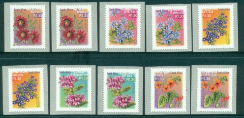 South-Africa-2000-R1.jpg.3-Flowers-10