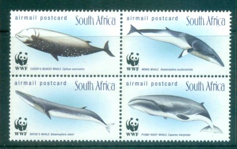 South-Africa-1998 WWF South African Cetaceans
