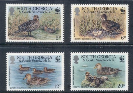 South-Georgia-1992 WWF South Georgia Teal, bird