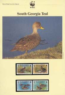 South-Georgia-1992 WWF South Georgia Teal