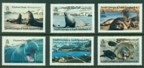 South-Georgia-1991-Elephant-Seals-MLH