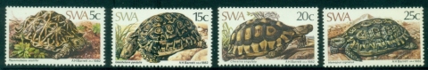 SWA-1982-Tortoises-MLH