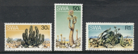 South-West-Africa-1973-Flowers