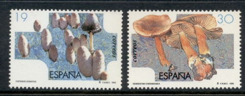 Spain-1995-Funghi