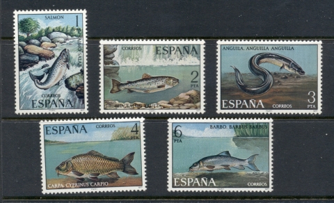 Spain-1977-Fish-MUH