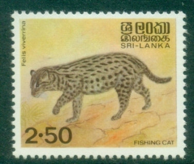 Sri-Lanka-1982-89-Wildlife-2.50r-Felis-viverrina-MLH