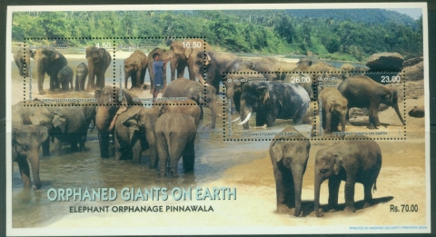 Sri-Lanka-2003-Elephant-Orphanage-Pinnawala-MS-MUH
