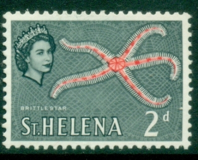 St-Helena-1961-QEII-Pictorial-2d-Brittle-Starfish-MLH