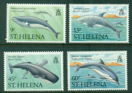 St-Helena-1987-Marine-Mammals-MLH