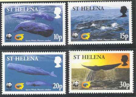 St-Helena-2002 WWF Sperm Whale