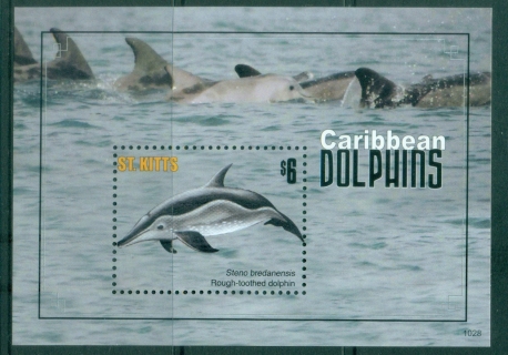 St-Kitts-2011-Marine-Life-Caribbean-Dolphins-MS-MUH_2 St-Kitts-2011-Marine-Life-Caribbean-Dolphins-MS-MUH_2