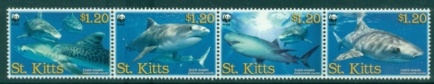 St-Kitts-2007-WWF-Tiger-Shark-MUH