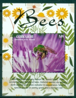 St-Vincent-Canouan-2021-Insects-Bees-Flowers-MS-MUH_2