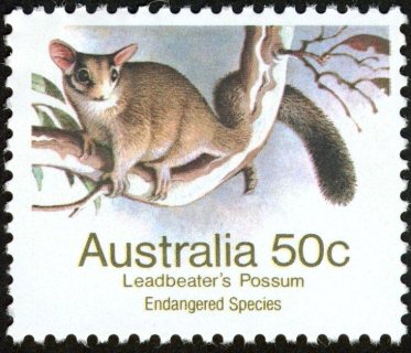 Australia-1981-Wildlife-50-cent-Multi-P12-50-Animal