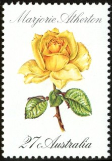 Australia-1982-Roses-27-cent-Multi-P13x13-5-Plant