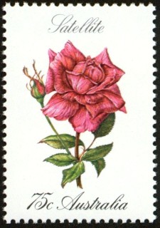 Australia-1982-Roses-75-cent-Multi-P13x13-5-Plant