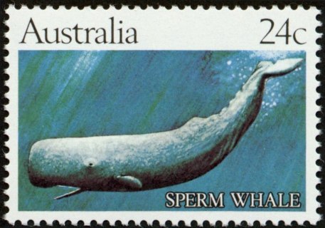 Australia-1982-Whales-24-cent-Multi-P13-5x14-Animal