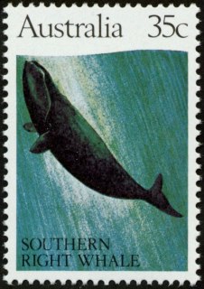 Australia-1982-Whales-35-cent-Multi-P14x13-5-Animal-Black-Right-Whale