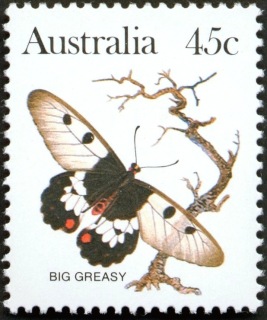 Australia-1983-Wildlife-45-cent-Multi-P13-50-Butterfly