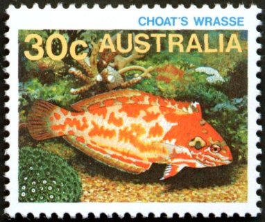 Australia-1984-Marine-Life-30-cent-Multi-P14x14-5-Choats-Wrasse