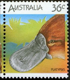 Australia-1986-Australian-Wildlife-First-Series-36-cent-Multi-P14-5x14-Animal_1