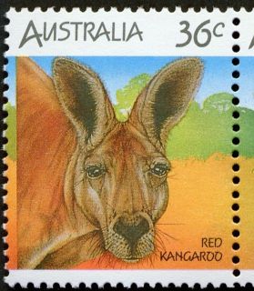 Australia-1986-Australian-Wildlife-First-Series-36-cent-Multi-P14-5x14-Red-Kangaroo