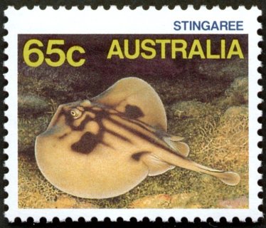 Australia-1986-Marine-Life-65-cent-Multi-P13-50-Stingaree-locally-Sting-Ray