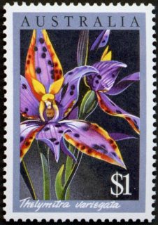 Australia-1986-Native-Australian-Orchids-1-dollar-Multi-P14-50-Queen-of-Sheba-Orchid