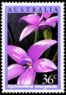 Australia-1986-Native-Australian-Orchids-36-cent-Multi-P14-50-Pink-Enamel-Orchid