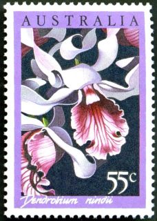 Australia-1986-Native-Australian-Orchids-55-cent-Multi-P14-50-Dendrobium-nindii
