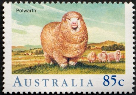 Australia-1989-Sheep-in-Australia-85-cent-Multi-P13-5x14-Polwarth-animal-sheep