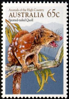 Australia-1990-Animals-of-the-High-Country-65-cent-Multi-P14x13-5-Tiger-Cat