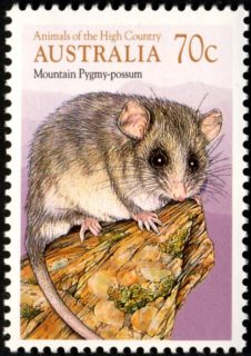 Australia-1990-Animals-of-the-High-Country-70-cent-Multi-P14x13-5-Mountain-Pygmy-Possum