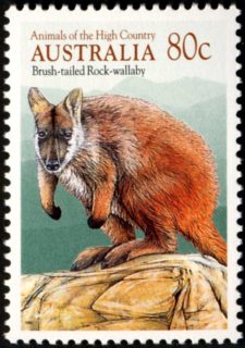 Australia-1990-Animals-of-the-High-Country-80-cent-Multi-P14x13-5-Brush-tailed-Rock-wallaby