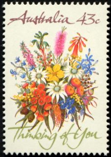 Australia-1990-Greeting-Stamps-43-cent-Multi-P14-50-Australian-wildflowers