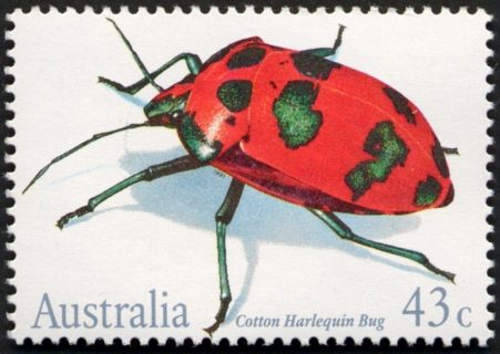 Australia-1991-Insects-43-cent-Multi-P14-50-Tectocoris-diopthalmus