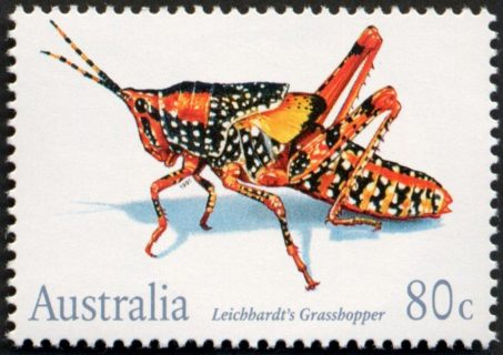 Australia-1991-Insects-80-cent-Multi-P14-50-Petasida-ephippigera-grasshopper