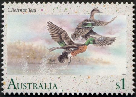 Australia-1991-Waterbirds-1-dollar-Multi-P14-50-Bird