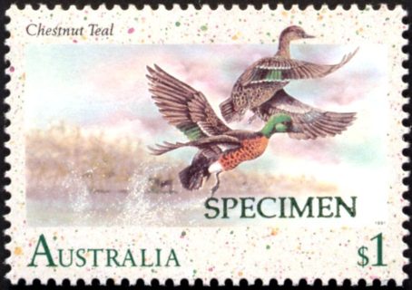 Australia-1991-Waterbirds-1-dollar-Multi-P14-50-Bird_1